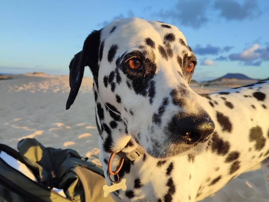 Alojamiento Fuerteventura Tikuna La Oliva Zewnętrze zdjęcie